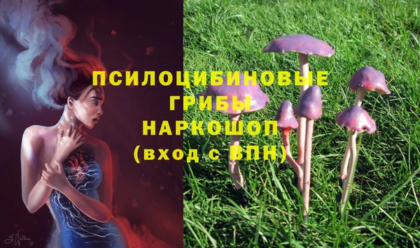 прущие крисы Вязники