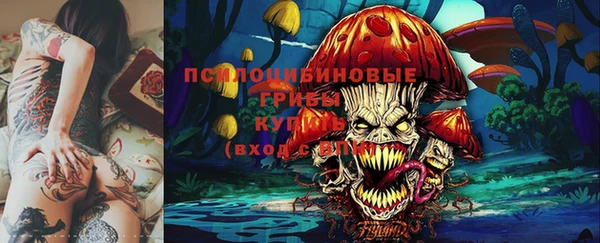 прущие крисы Вязники
